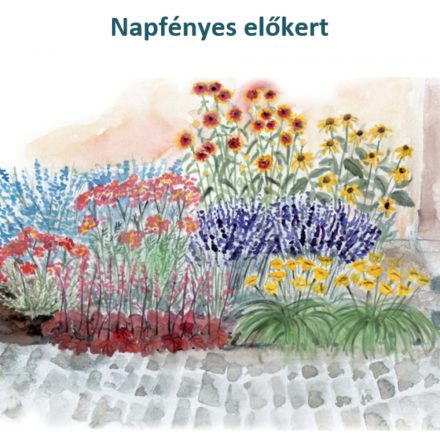 Napfényes előkert